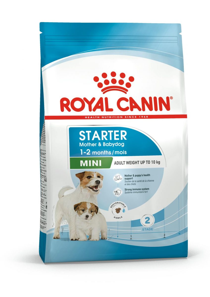 Royal Canin Mini Starter M&B 4 kg