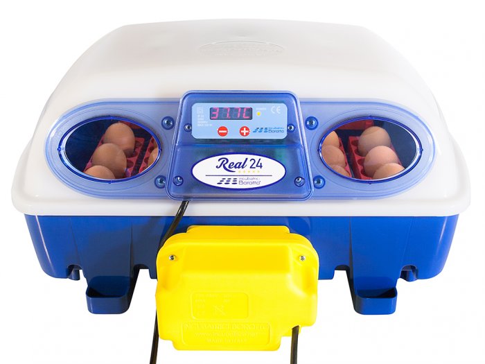 BOROTTO REAL 24 AUTOMATIC líheň