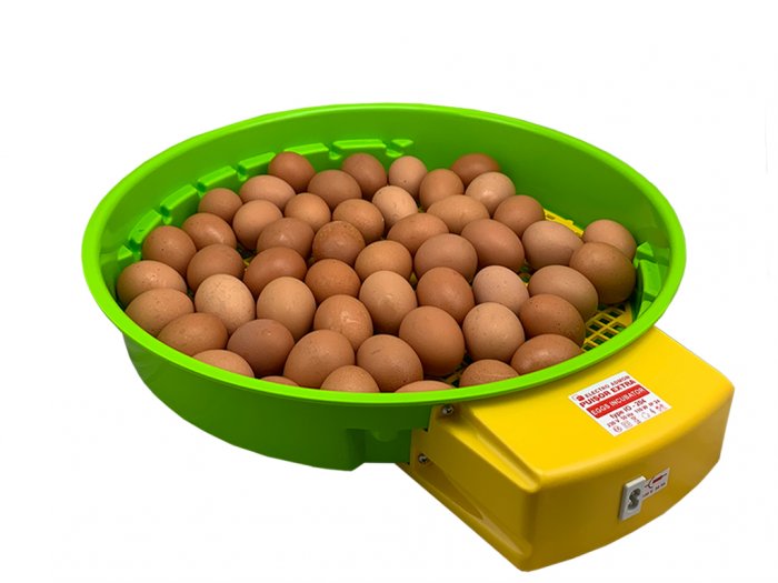 Další foto