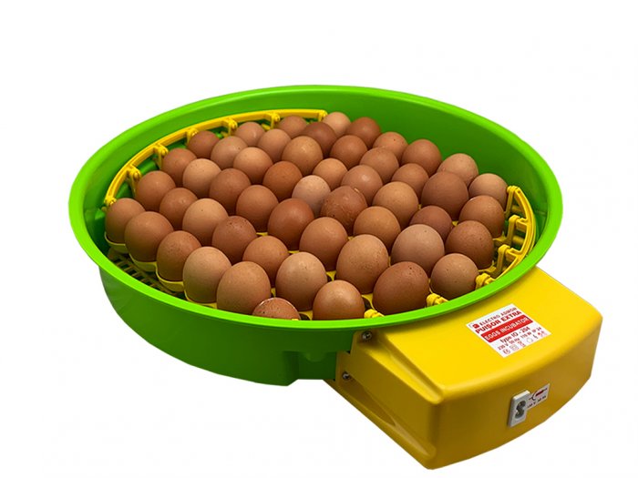 Další foto