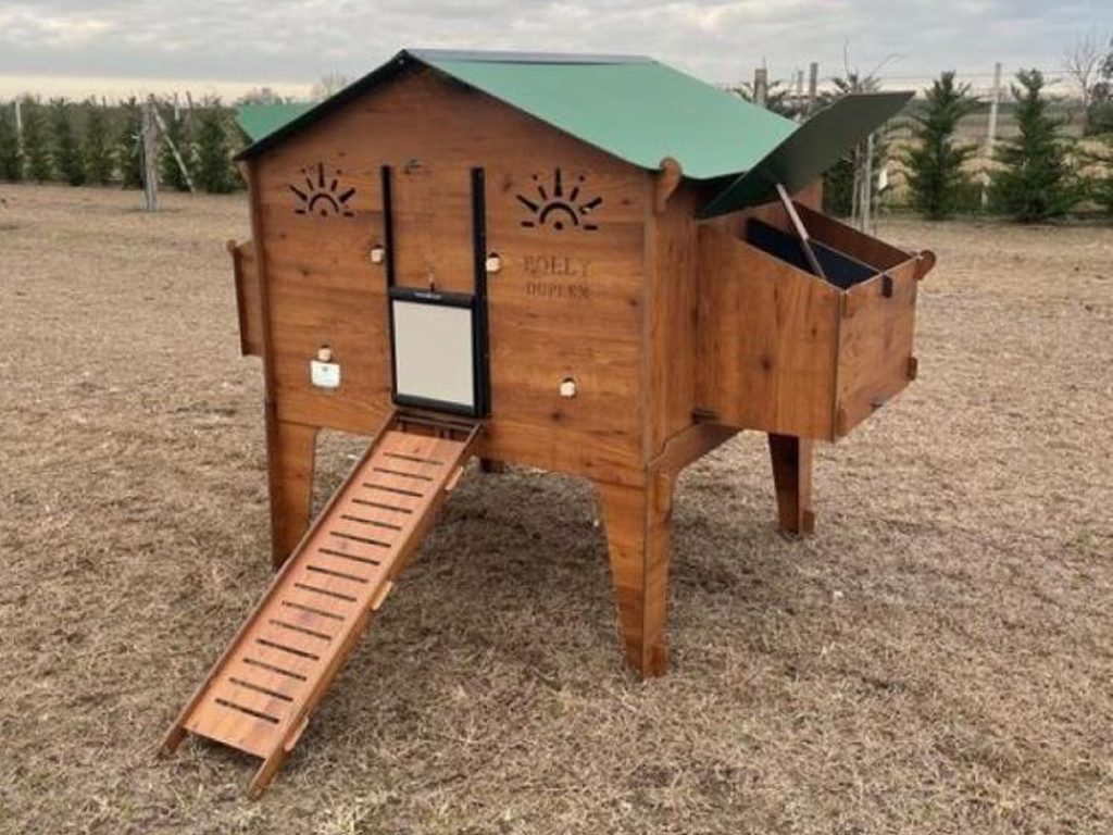 Další foto