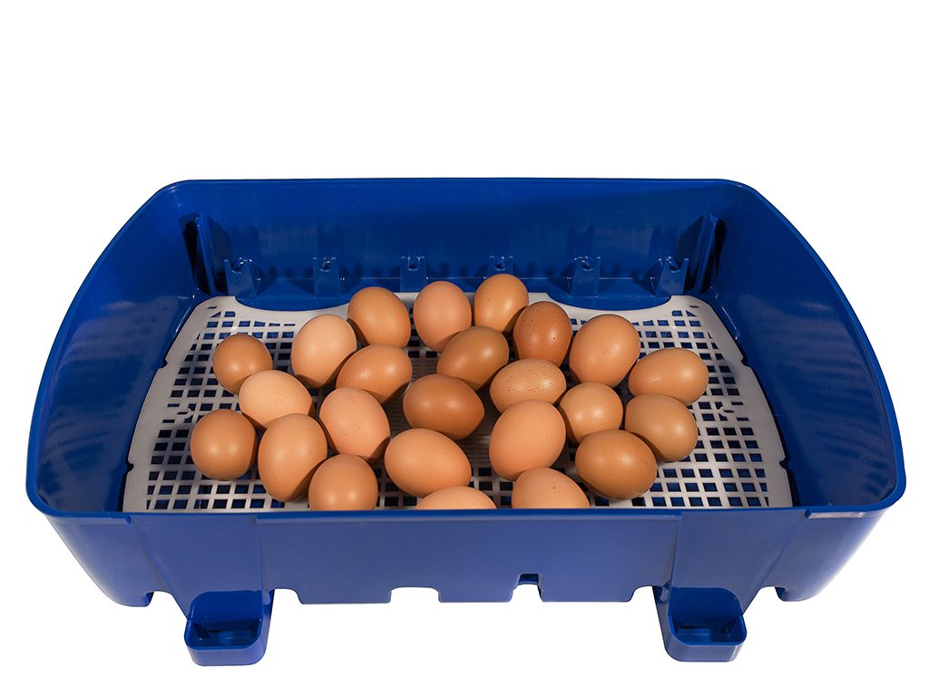 Další foto