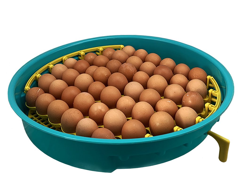 Další foto