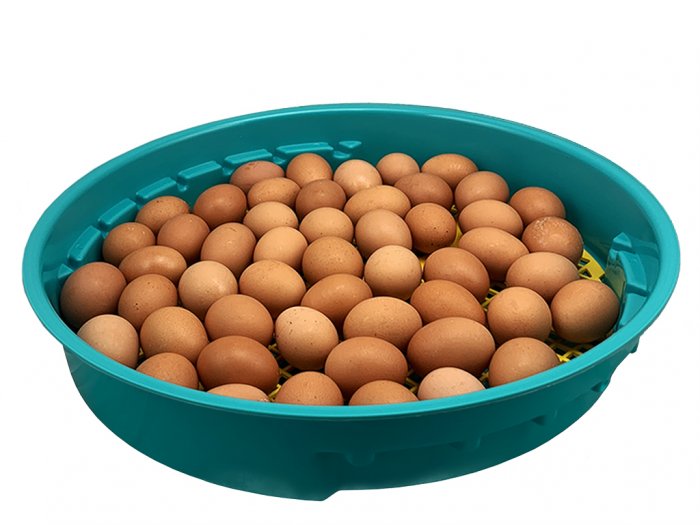 Další foto