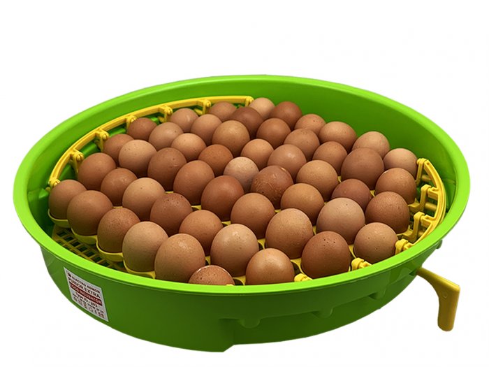 Další foto