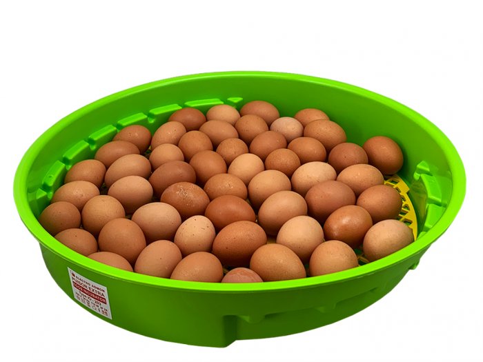 Další foto
