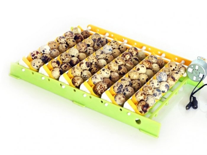 Liska na křepelčí vejce pro líhně CIMUKA QT13