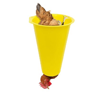 Další foto