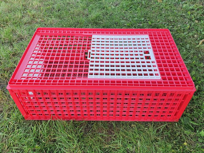 Další foto