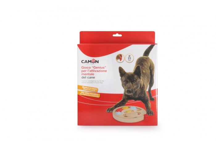 INTERAKTIVNÍ HRA GENIUS 2 22 x 12 cm