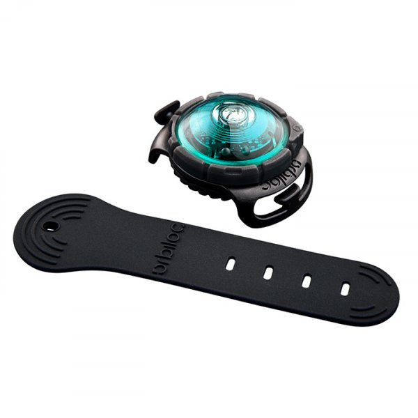 Světlo LED na obojek Orbiloc tyrkysové