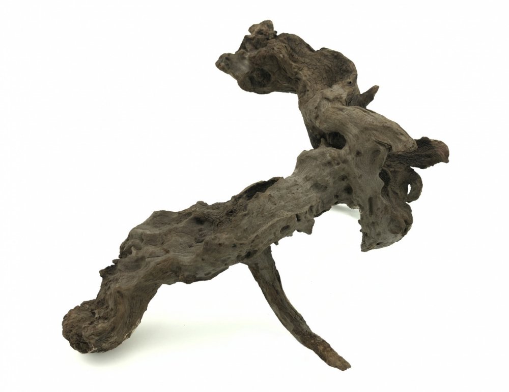 Kořen Sam Wood S (<0,2 kg)