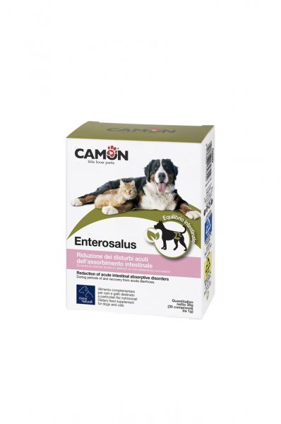 CAMON ENTEROSALUS - DOPLNĚK STRAVY 30 TABLET