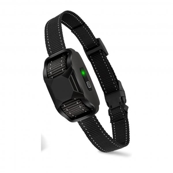 Obojek a přijímač Reedog P19