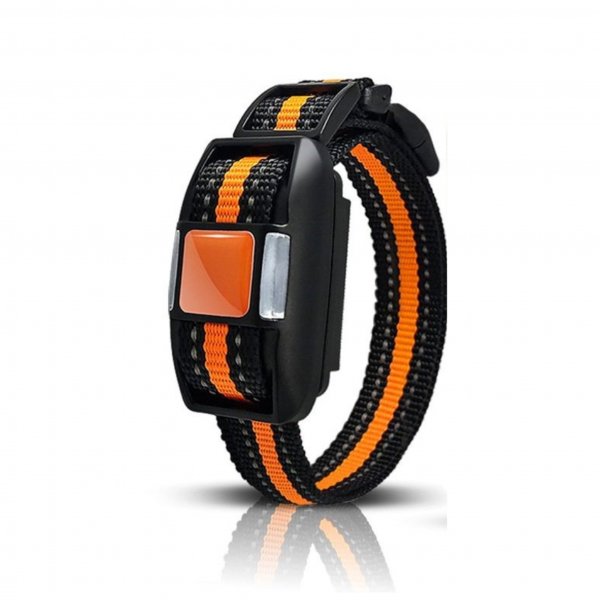 Přijímač Reedog P30