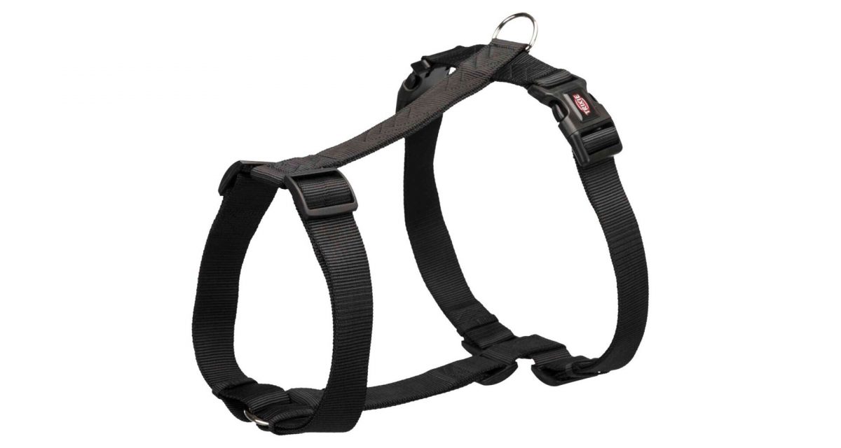 PREMIUM H-postroj - černý M-L:hruď:52-75cm/20mm