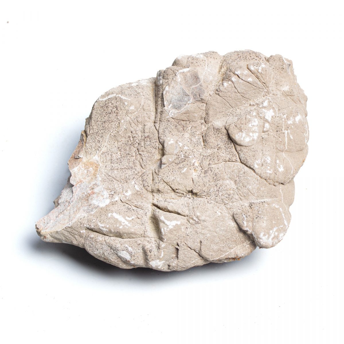 Kámen Grey mountain rock S (méně než 1 kg, 5-15 cm)