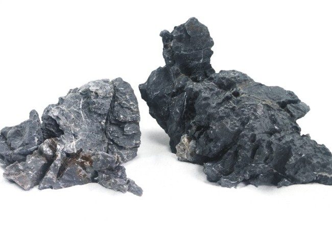 Seiryu stone black L (2-4 kg, 25-35 cm)