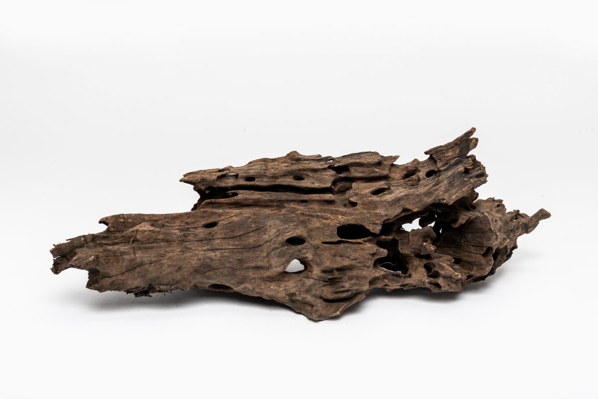 Rataj Mangrove Wood 0,2-0,5 kg