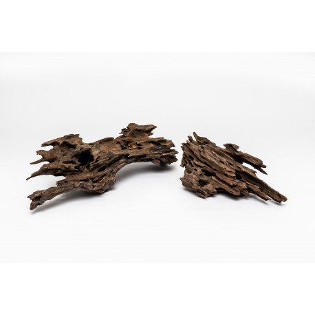 Rataj Dragon Wood 0,5-0,8 kg