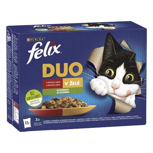 Další foto