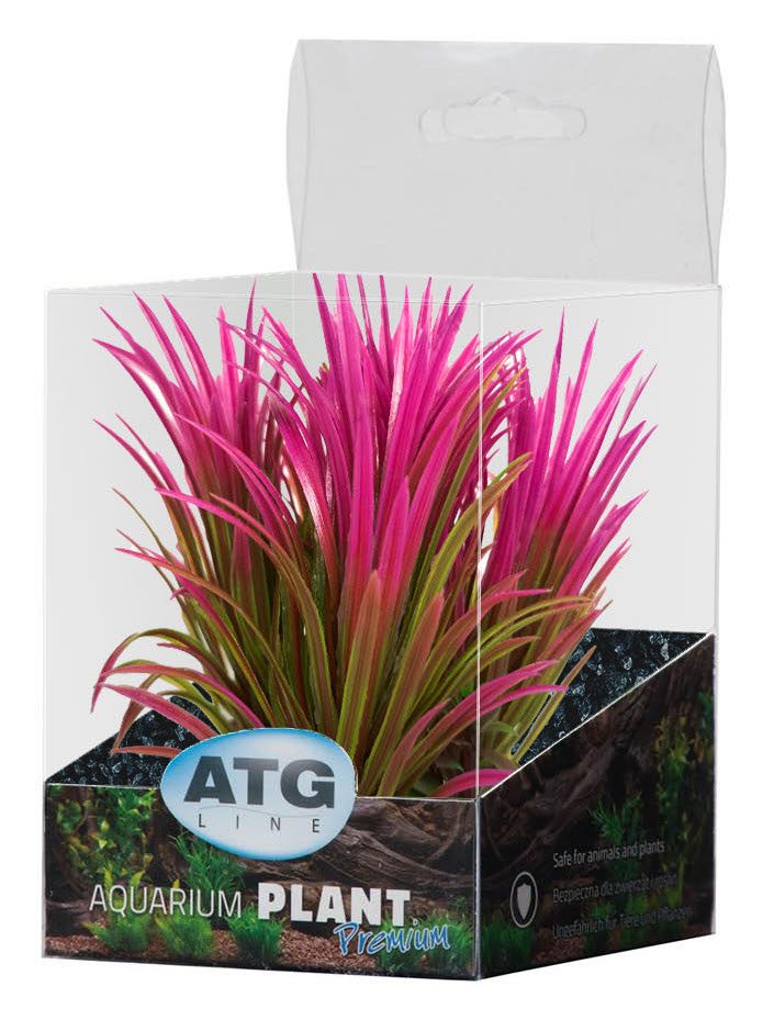 ATG Premium rostlina Mini (8-14cm) 238