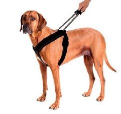 ARMOREDTech POSTROJ SPORT černá L