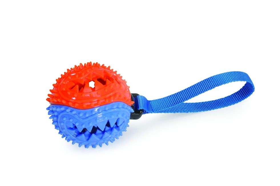 CAMON MÍČEK NA PAMLSKY S UCHEM 23 cm