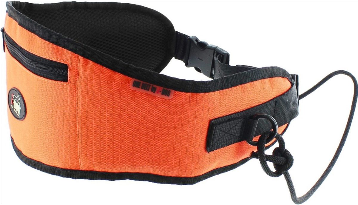 I-Dog One ledvinka, oranžová onesize
