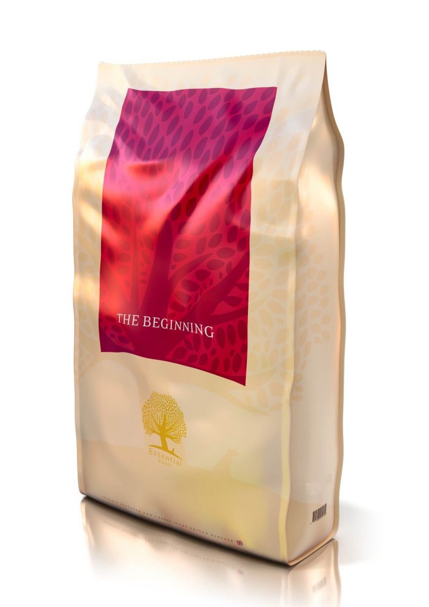 Essential Beginning 10kg