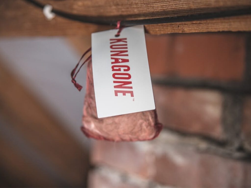 Další foto