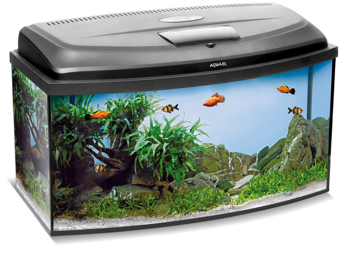 Akvarijní set CLASSIC BOX 80/O D&N