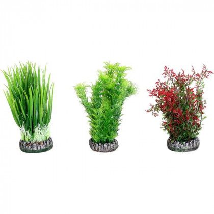 Rostlina plast Srí Lanka mix Flamingo mix, S/13,8cm