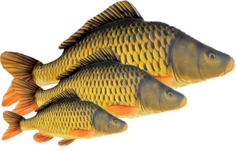 Dekorační polštář - KAPR-Šupináč