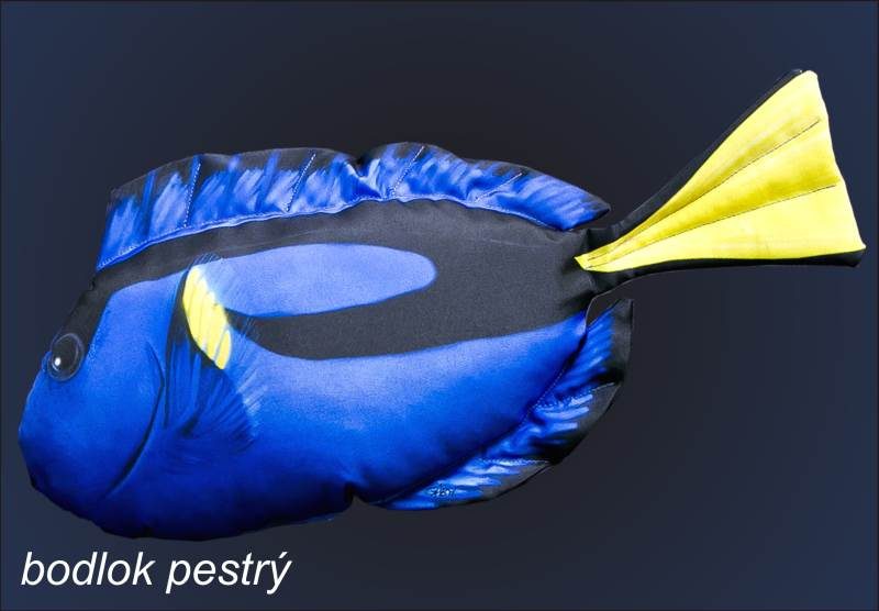 Dekorační polštář - Bodlok pestrý mini 32cm