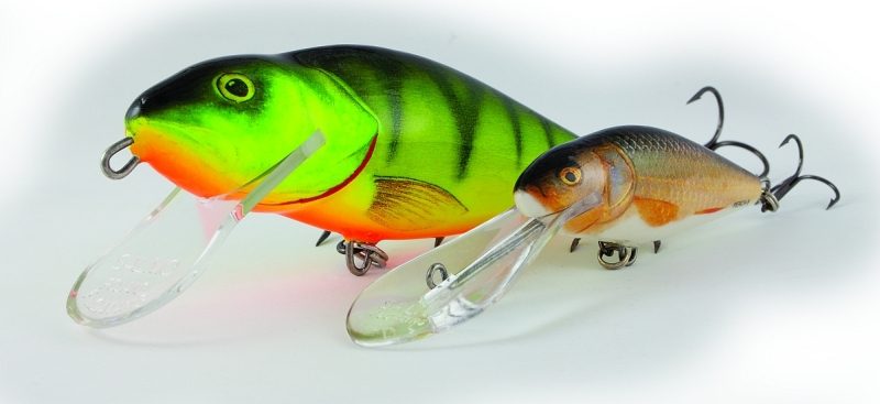Wobler Perch PH8F barva RR