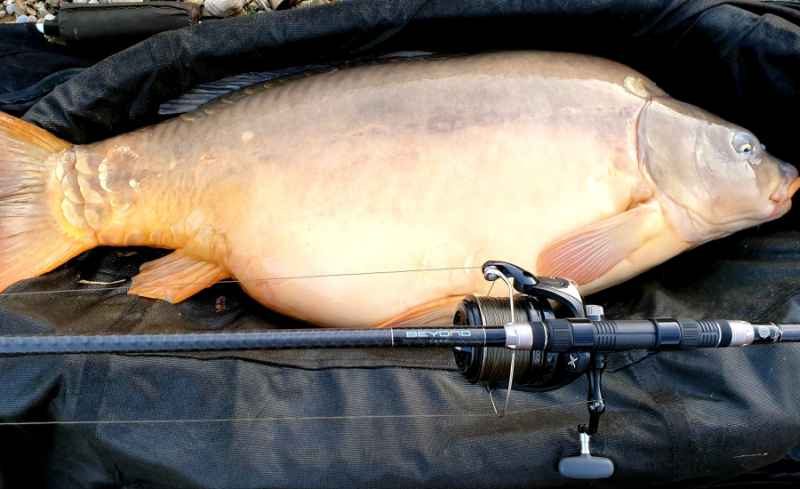Beyond Carp 2-díl 396cm / 3,75lbs