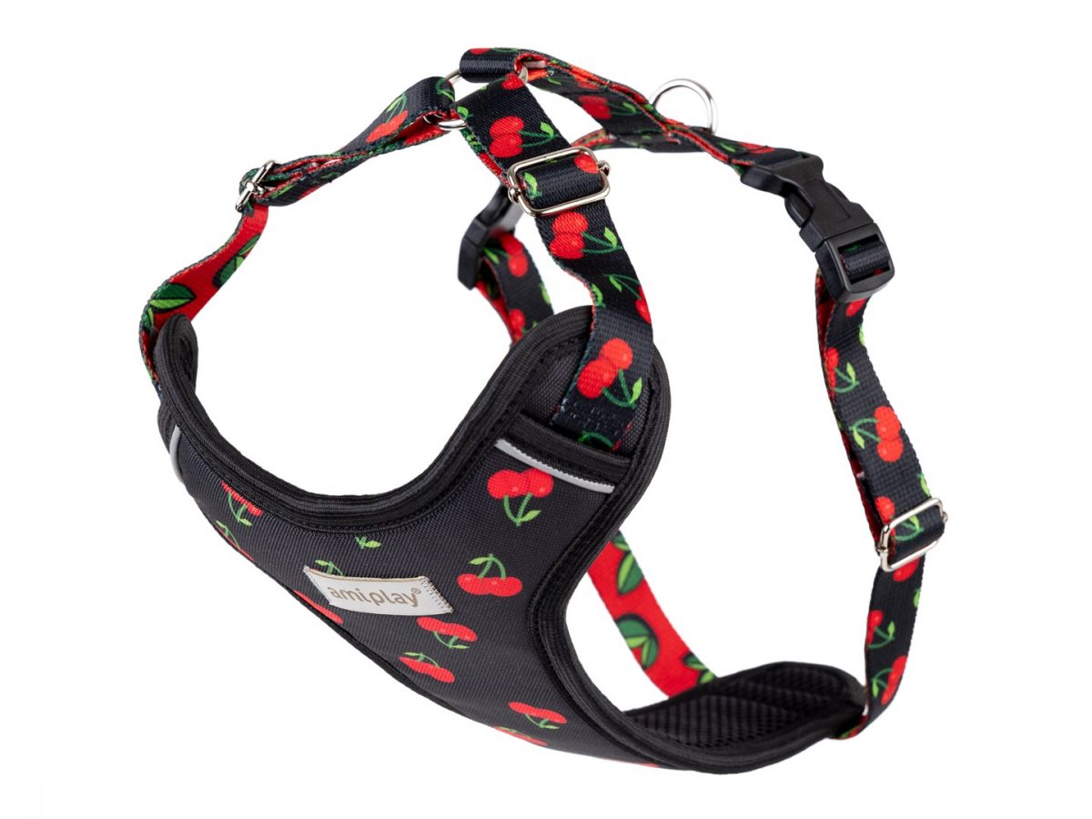 Postroj Discover XL 40-60,60-85cm Cherry