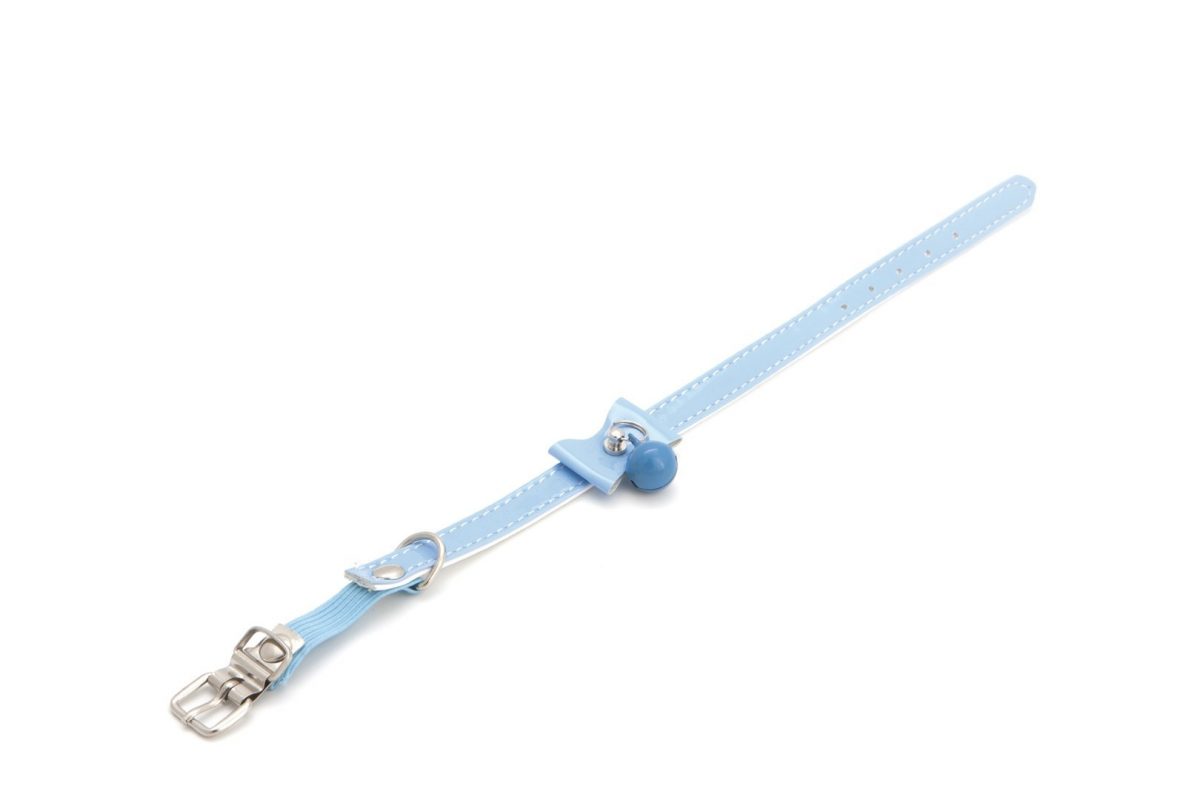 Have a Pet COMFY COLLAR VIVIAN BOW30CM BLUE