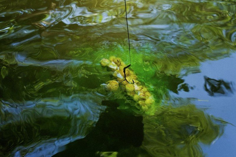 SuperFeed - Diffusion Booster - 100ml Fruit Beast