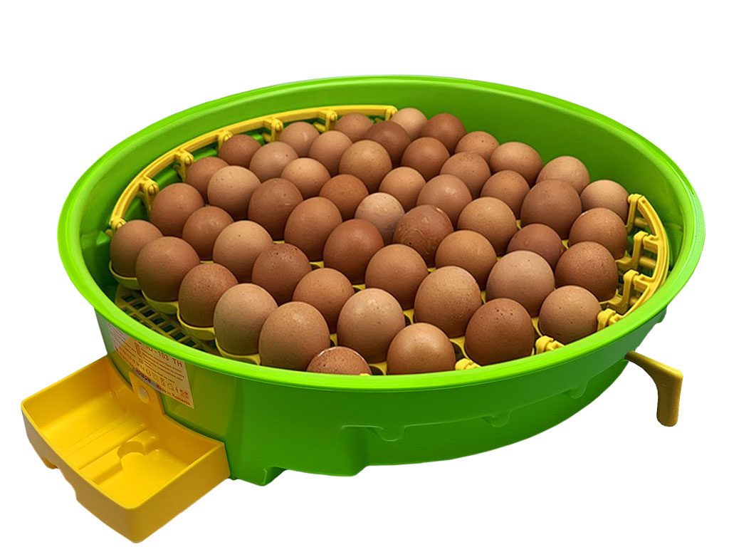 Další foto