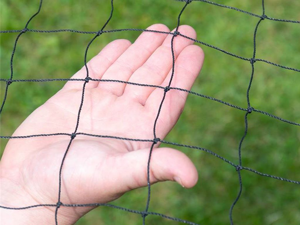 Další foto