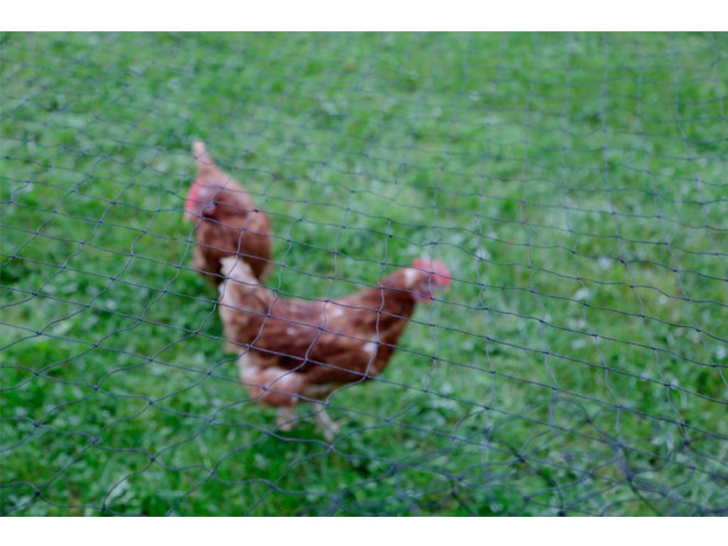 Další foto