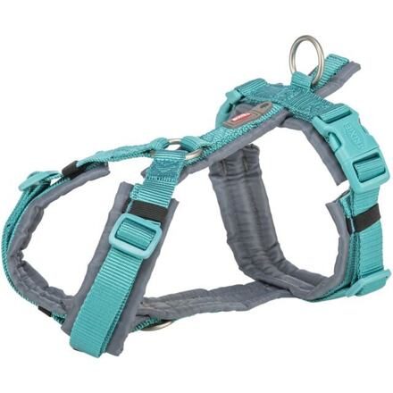 Premium trekingový postroj, aqua/grafit M: 53-64 cm/20 mm