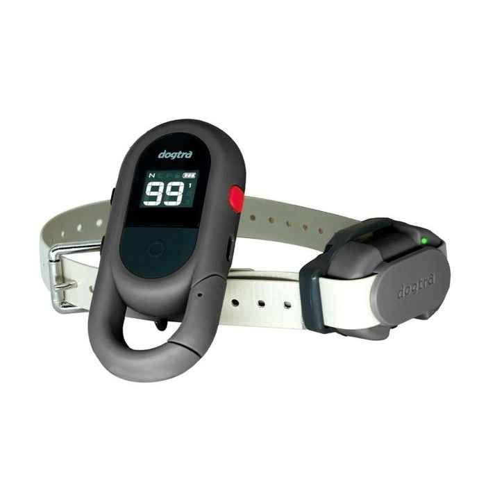 Dogtra IQ Flex - šedá