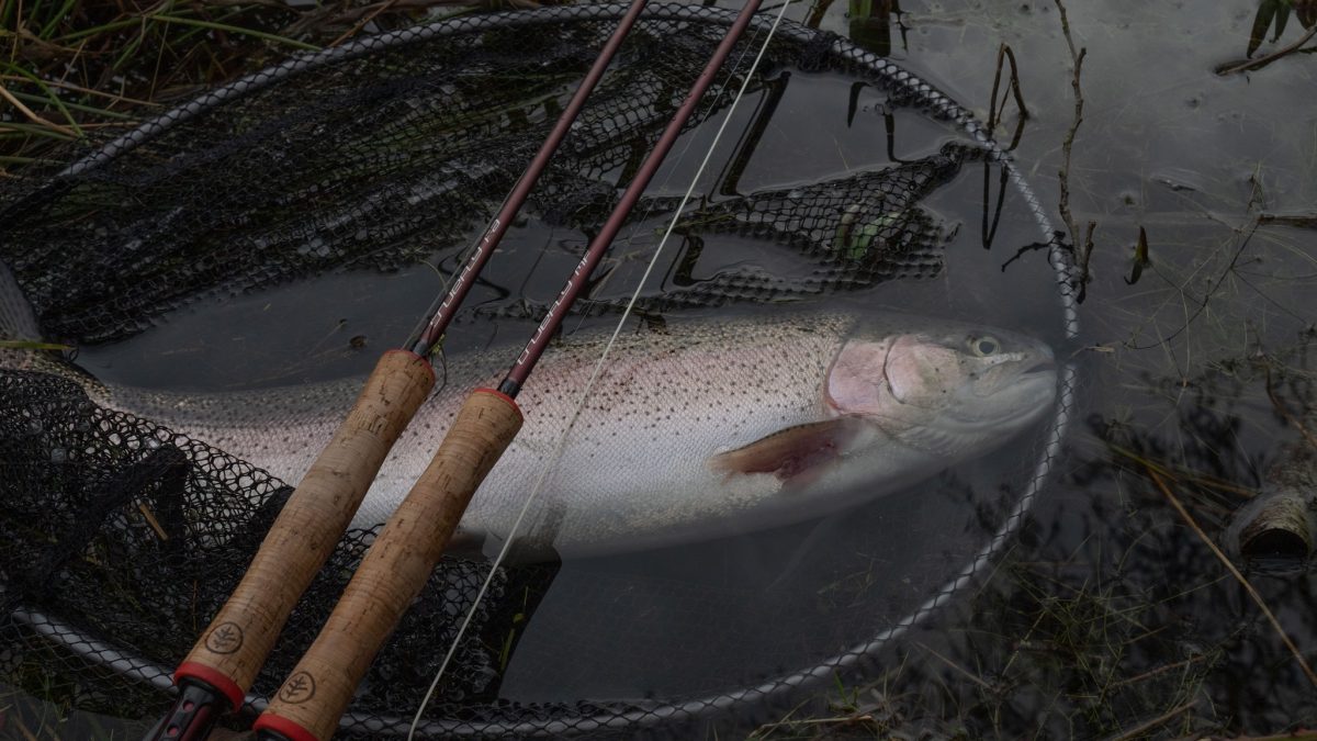 Wychwood muškařský prut Truefly FA (Fast Action) 9,6ft #6