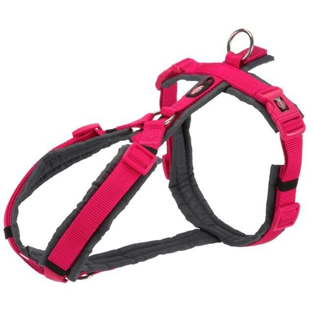 PREMIUM trekingový postroj, fuchsia/grafit L:hruď:70-85cm/25mm