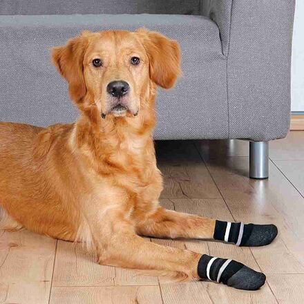 Protiskluzové ponožky pro psy, 2 ks, bavlna/lycra, černá XL: rhodéský ridgeback