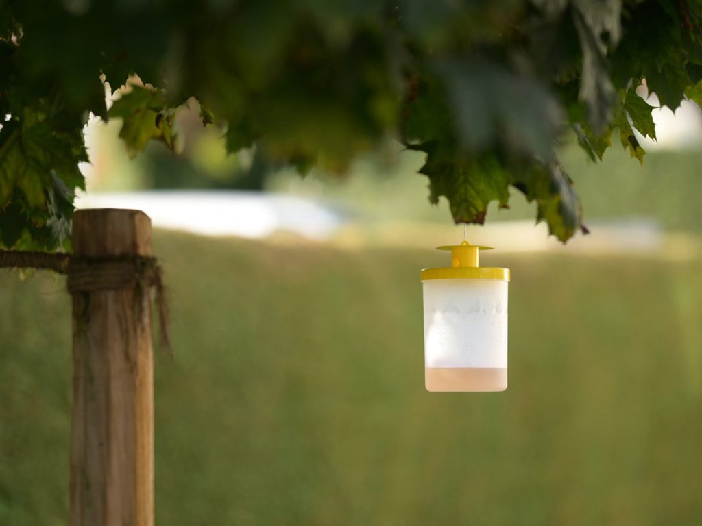 Lapač much FlyCage3, včetně návnady 25g