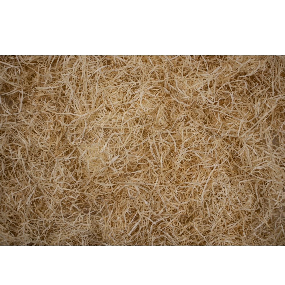 Další foto